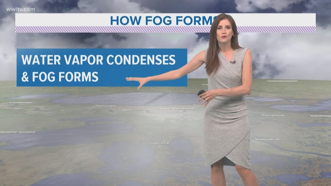 Pinpoint Forecast Fog Returns Tonight Then A Front Moves In Tuesday