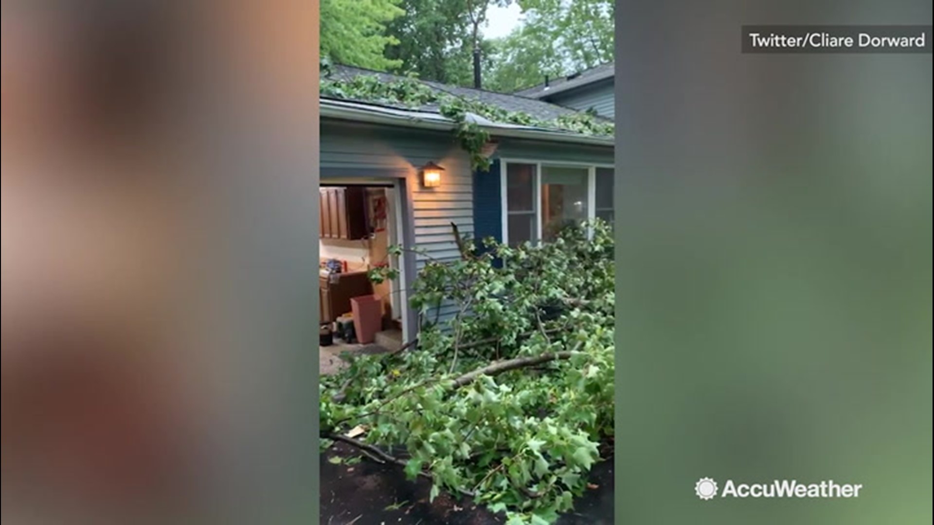 A couple of unfortunate homeowners in Reston and Woodbridge, Virginia came outside on July 17 to find their lawns, backyards, and houses covered in debris from foliage that had been battered in the storm.