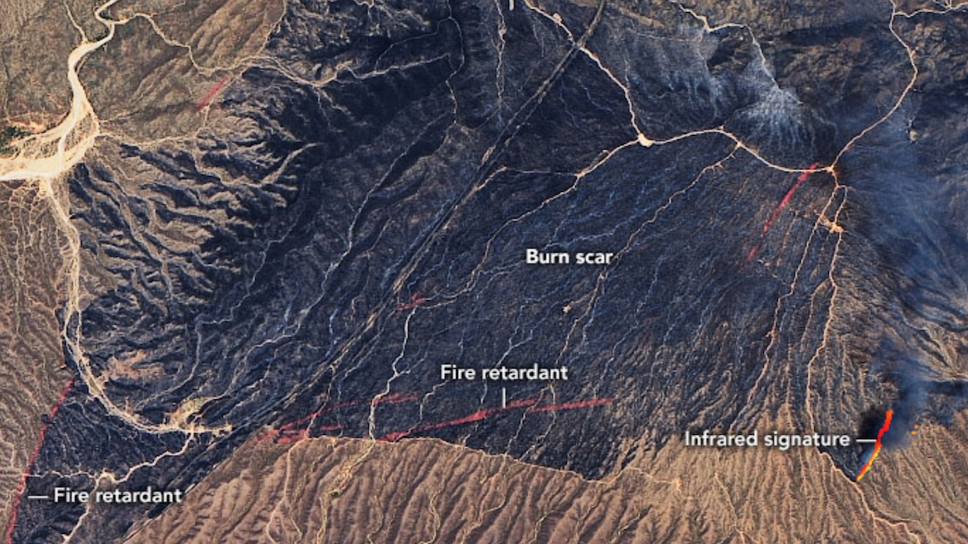 Burn Scar from Massive Arizona Bush Fire Spotted from Space | wwltv.com