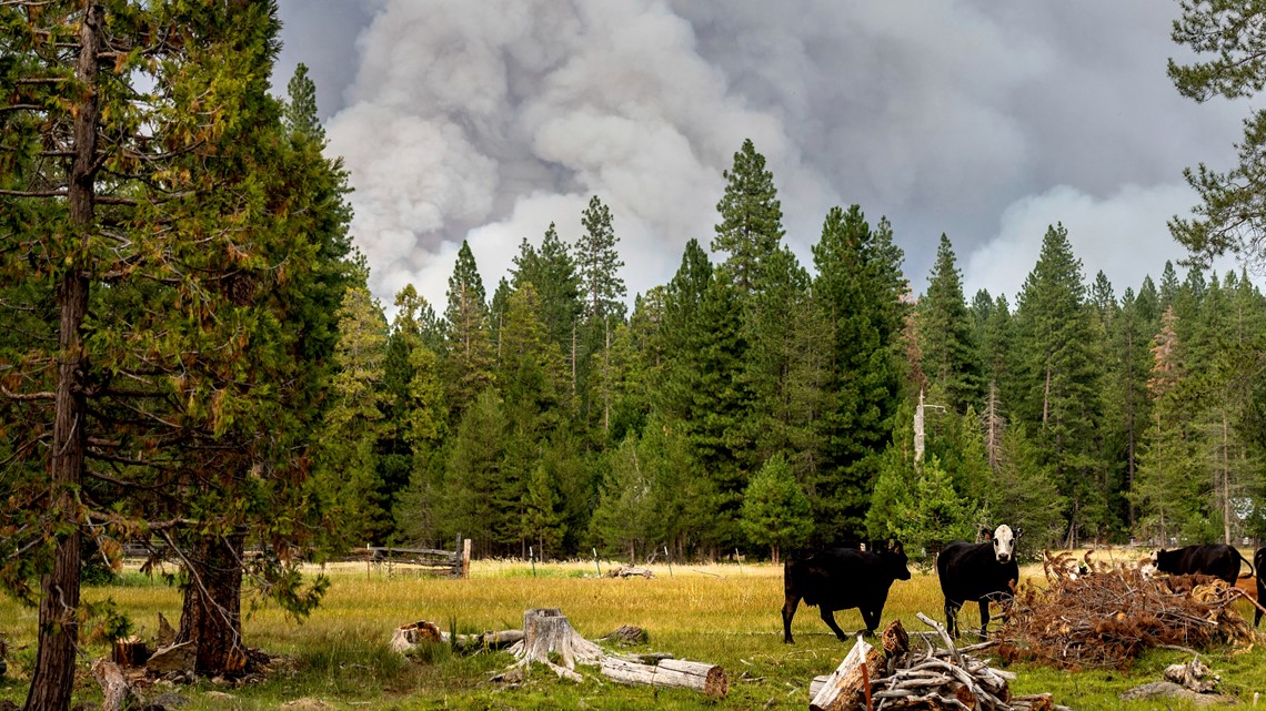 Hottest month ever NOAA says Earth set sizzling record July 2021