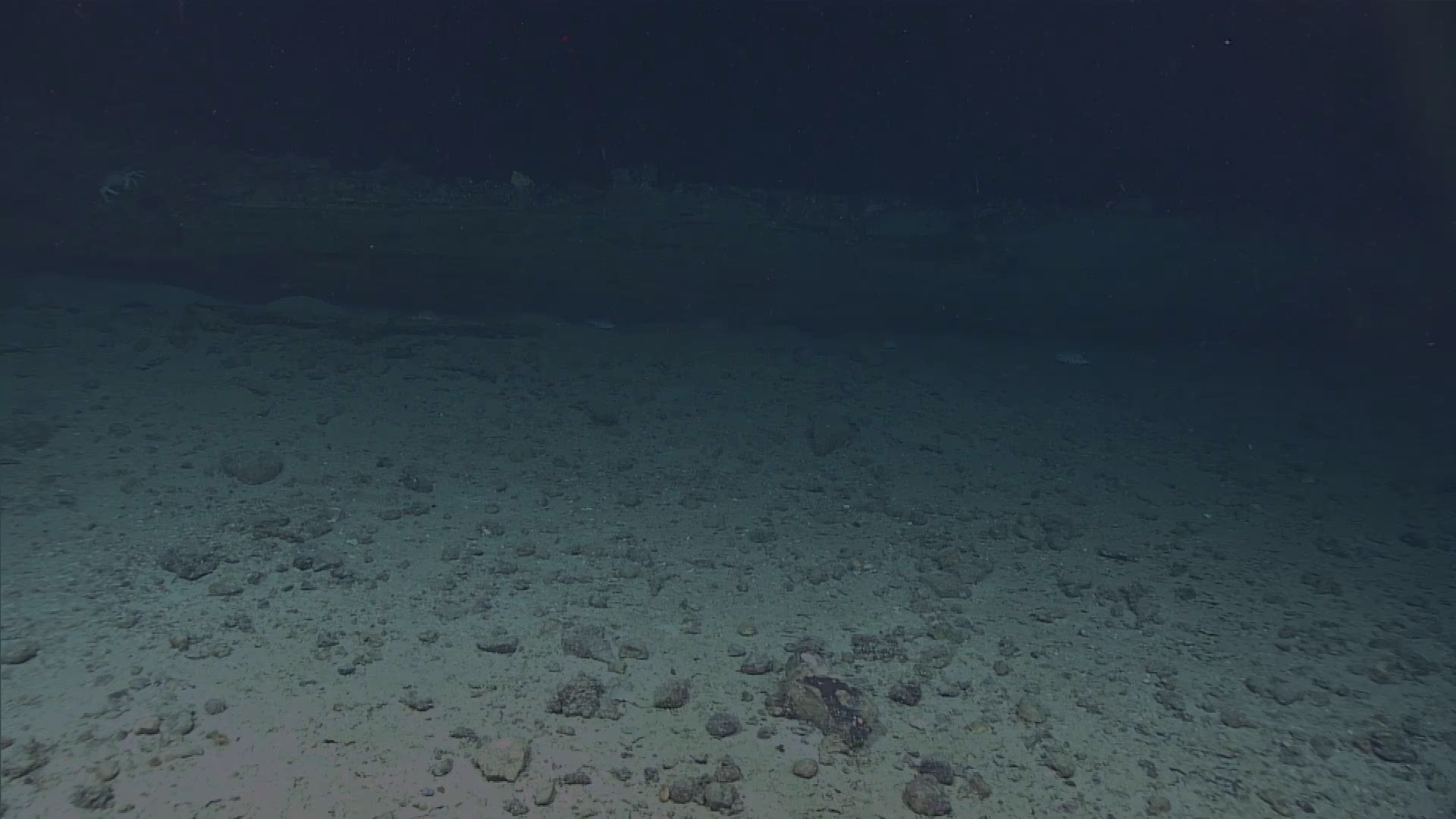 High-definition video was recorded by the ROVs as the team systematically explored the wreck site. (NOAA)
