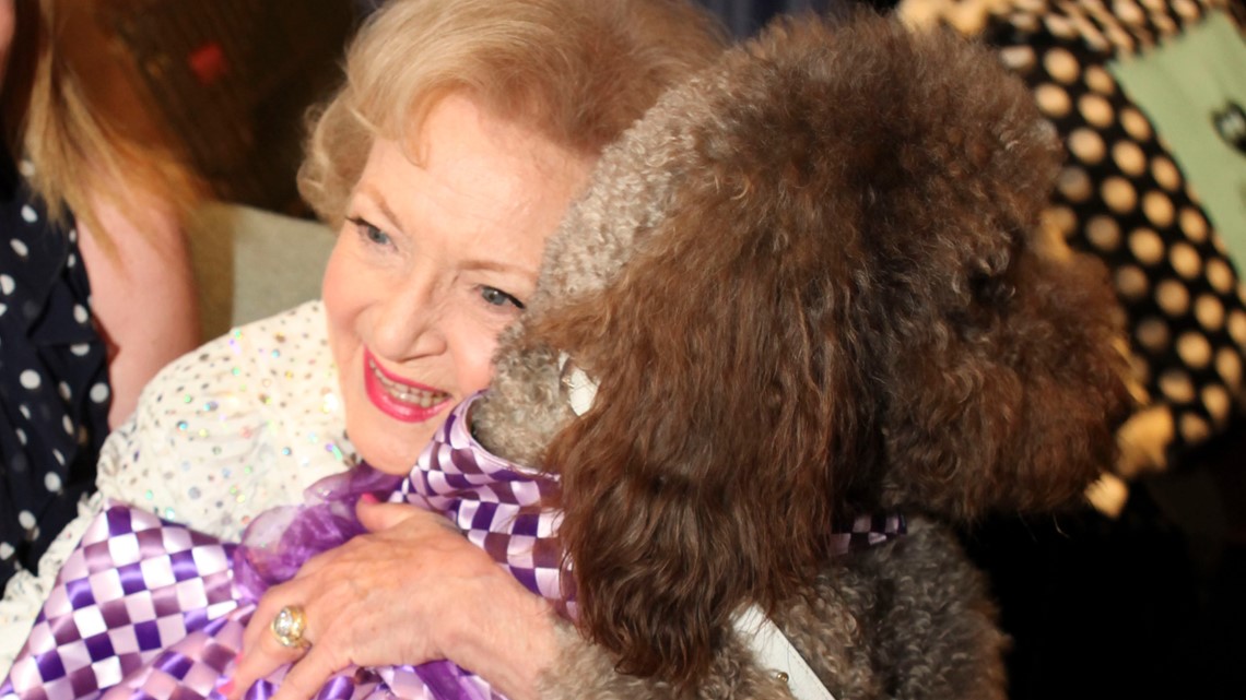 Betty White: Photos from a timeless life and career - Vimarsana News