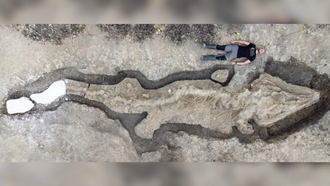 Giant prehistoric sea dragon skeleton found in UK