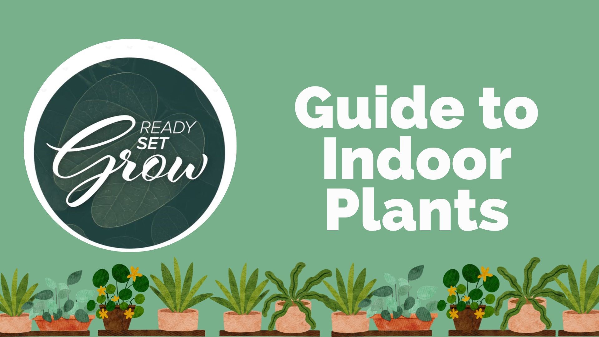 A complete guide to keeping your indoor plants alive and thriving. From the best low-light plants to creating a terrarium, plus the health benefits of house plants.