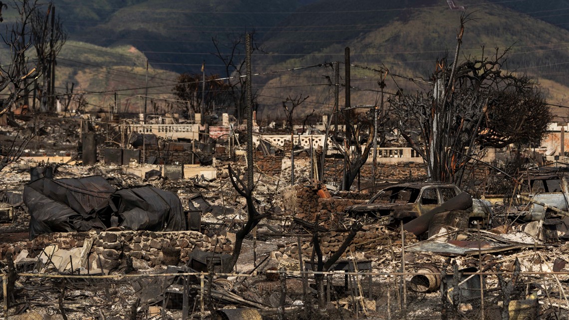 Hawaii wildfire cause: Power utility issues statement on cause - Vimarsana News