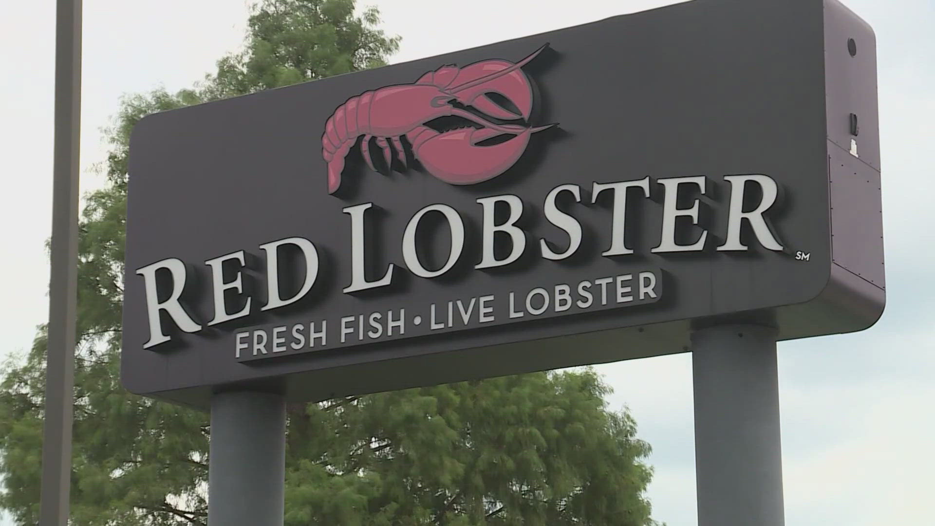 They join more than 100 restaurants Red Lobster closed earlier this summer.