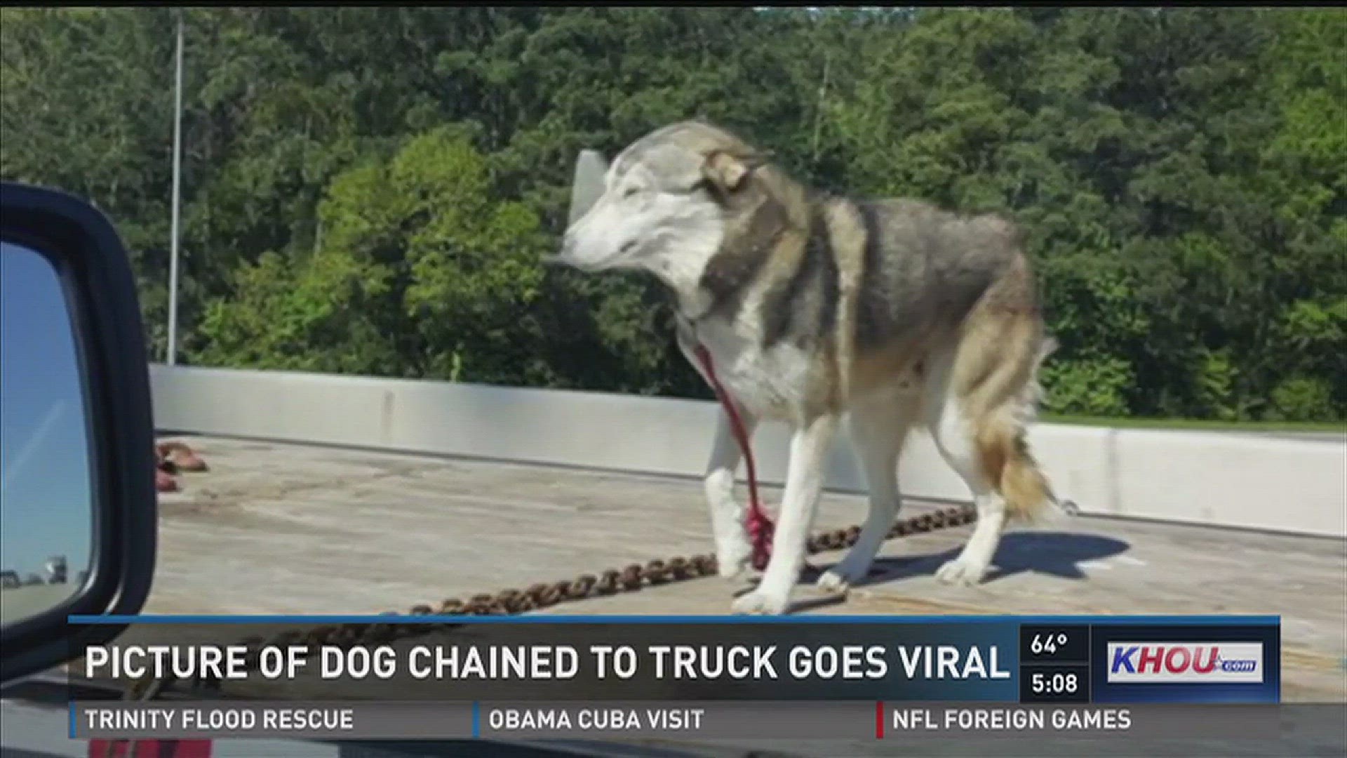 Photos go viral of dog tied to truck bed | wwltv.com