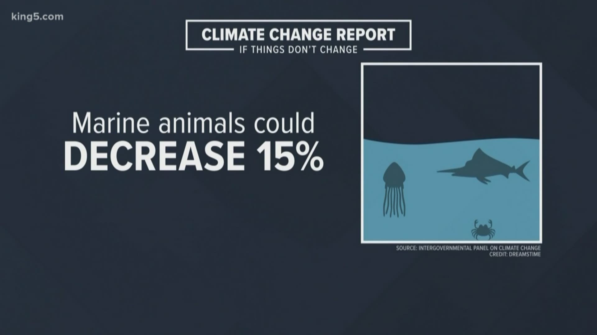 Huge sea rise, much fewer fish, less snow and ice, stronger and wetter hurricanes, nastier El Ninos, and some island nations will be uninhabitable. king5.com