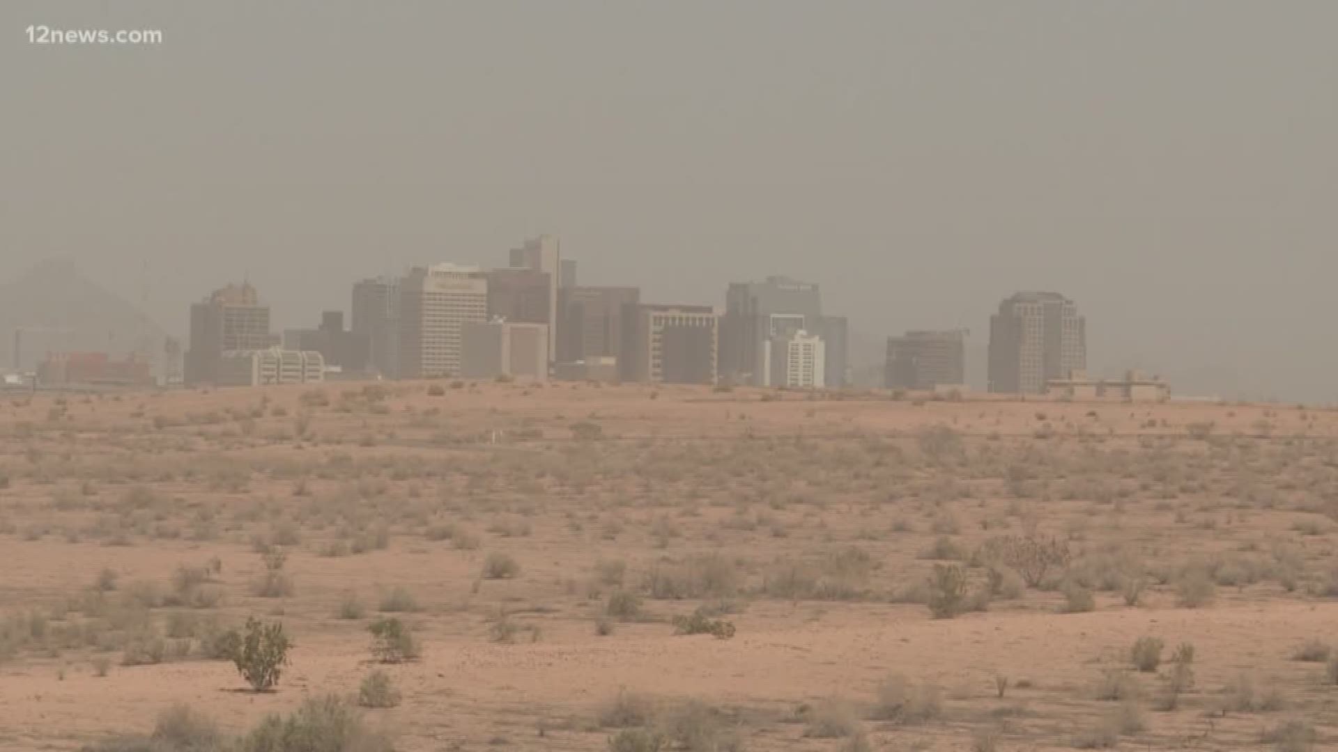 The tiny spores in the dirt get kicked up in high winds, increasing the risk of valley fever. People who are newly arrived in the Valley have a greater propensity to develop valley fever.