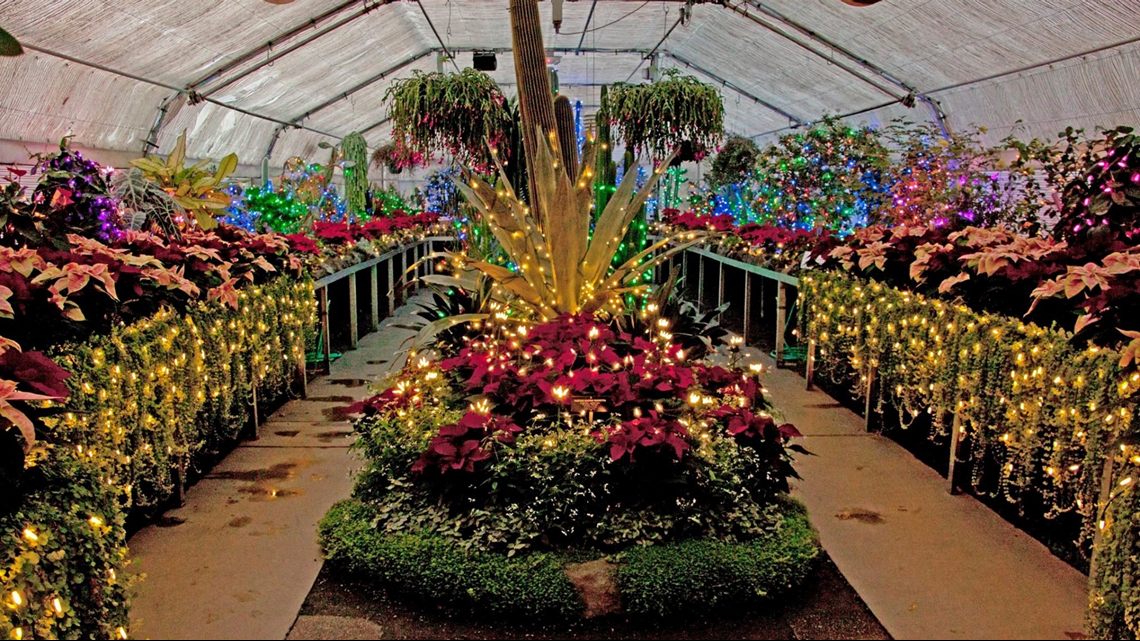 Christmas Lights Return To Manito Park S Gaiser Conservatory On Friday Wwltv Com