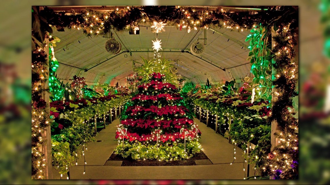 Christmas Lights Return To Manito Park S Gaiser Conservatory On Friday Wwltv Com