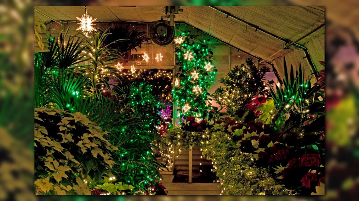 Christmas Lights Return To Manito Park S Gaiser Conservatory On Friday Wwltv Com