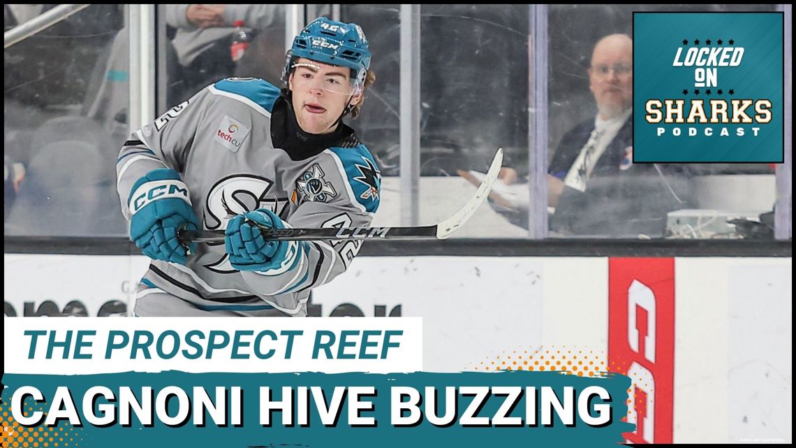 The Prospect Reef: Why Luca Cagnoni Is The San Jose Sharks' Next Big ...