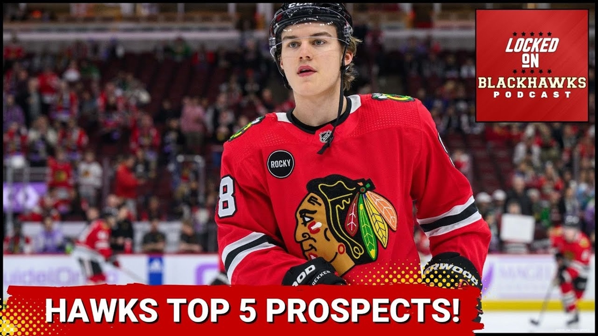 Chicago Blackhawks Top Five Prospects Rankings, + Lukas Reichel Getting