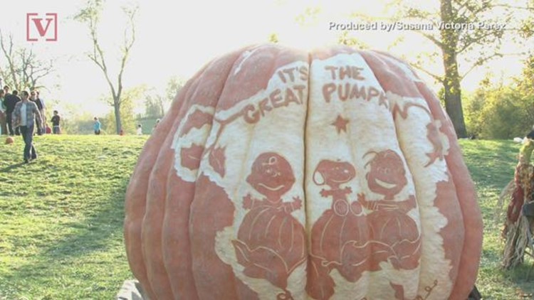 sex on halloween night Extremely hairy amateur