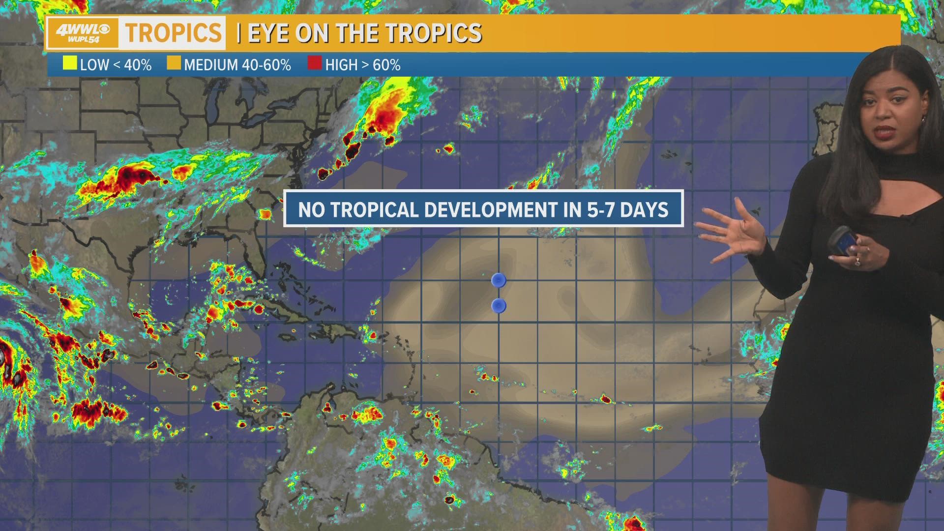 Dog rescued after legs sawed off, being shot on Northshore