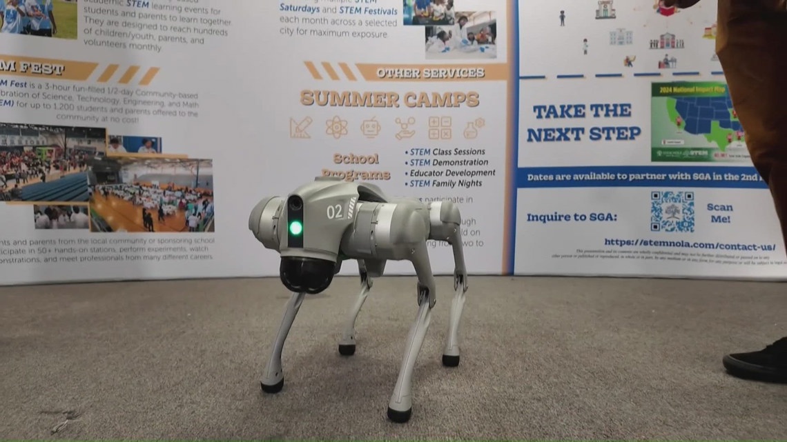 From ‘genius’ at age 4 to full-ride scholar: How STEM Fest is shaping the next generation