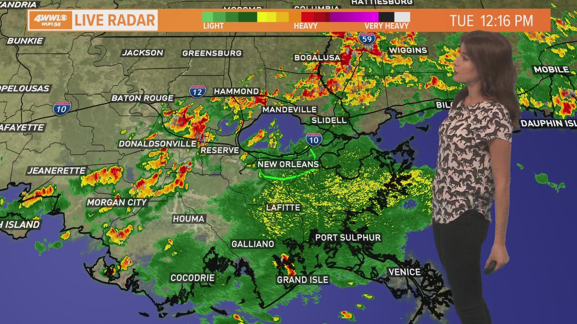 Dog rescued after legs sawed off, being shot on Northshore