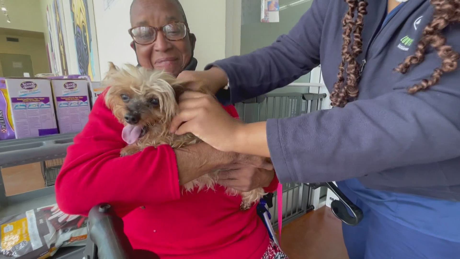 An owner and her dog have been reunited after mistakenly being taken from her porch four days ago.