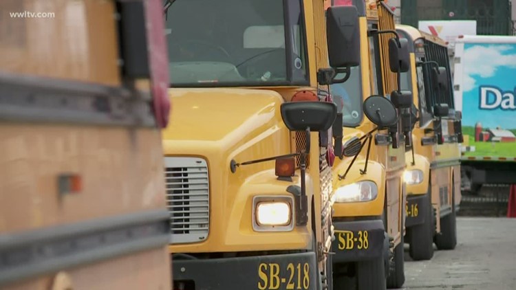 95 New Orleans school bus drivers did not have proper permit in 2019