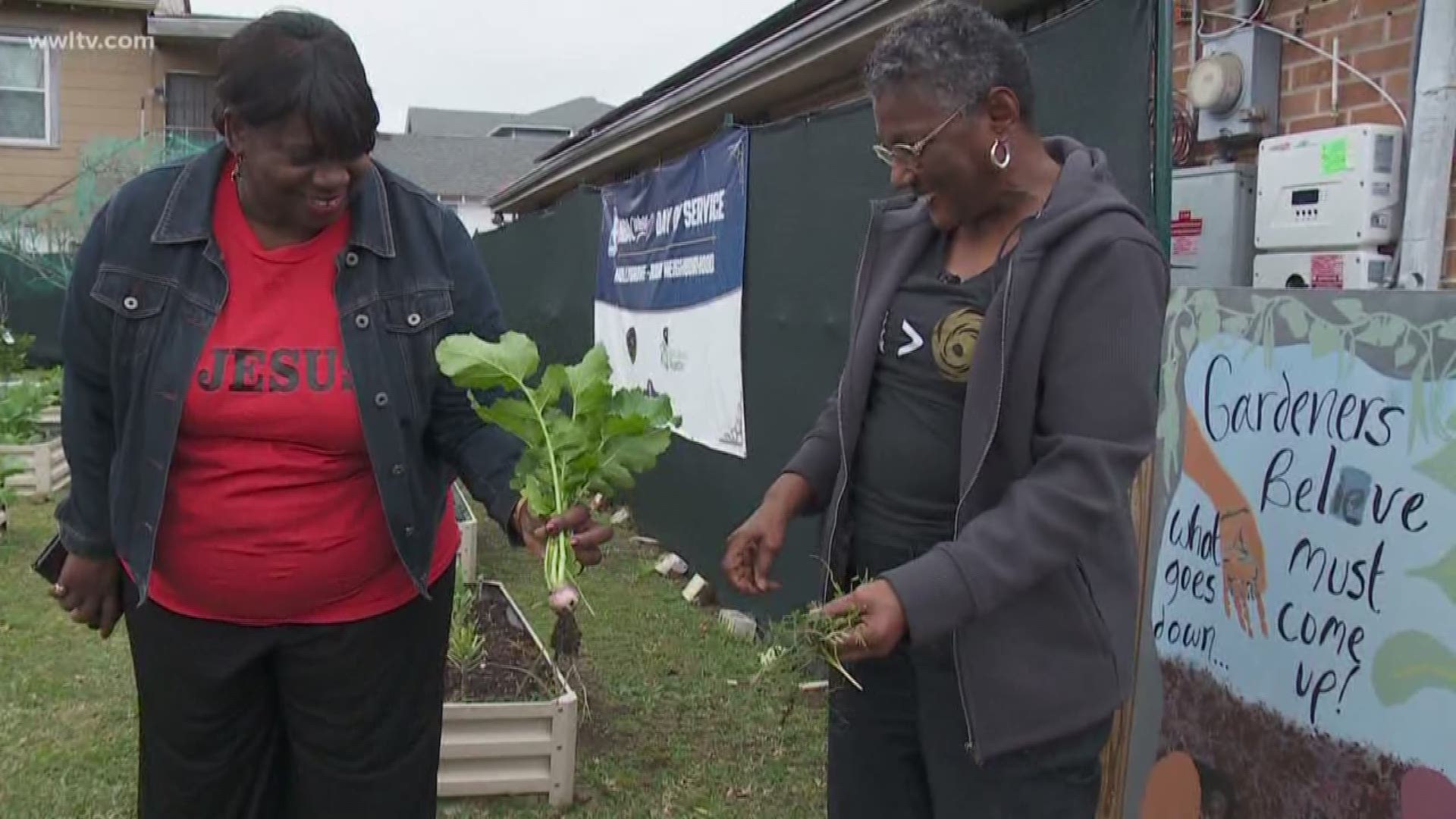 Check out this week's Neighborhood Hero: 'Miss  Brenda' Lomax-Brown.