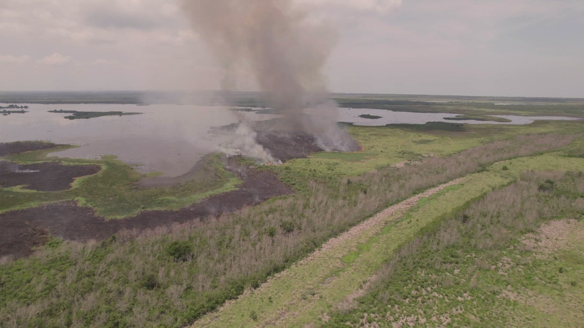 Wildfires burned more than 400 acres of land at the bayou sauvage urban national wildlife refuge in new orleans east.