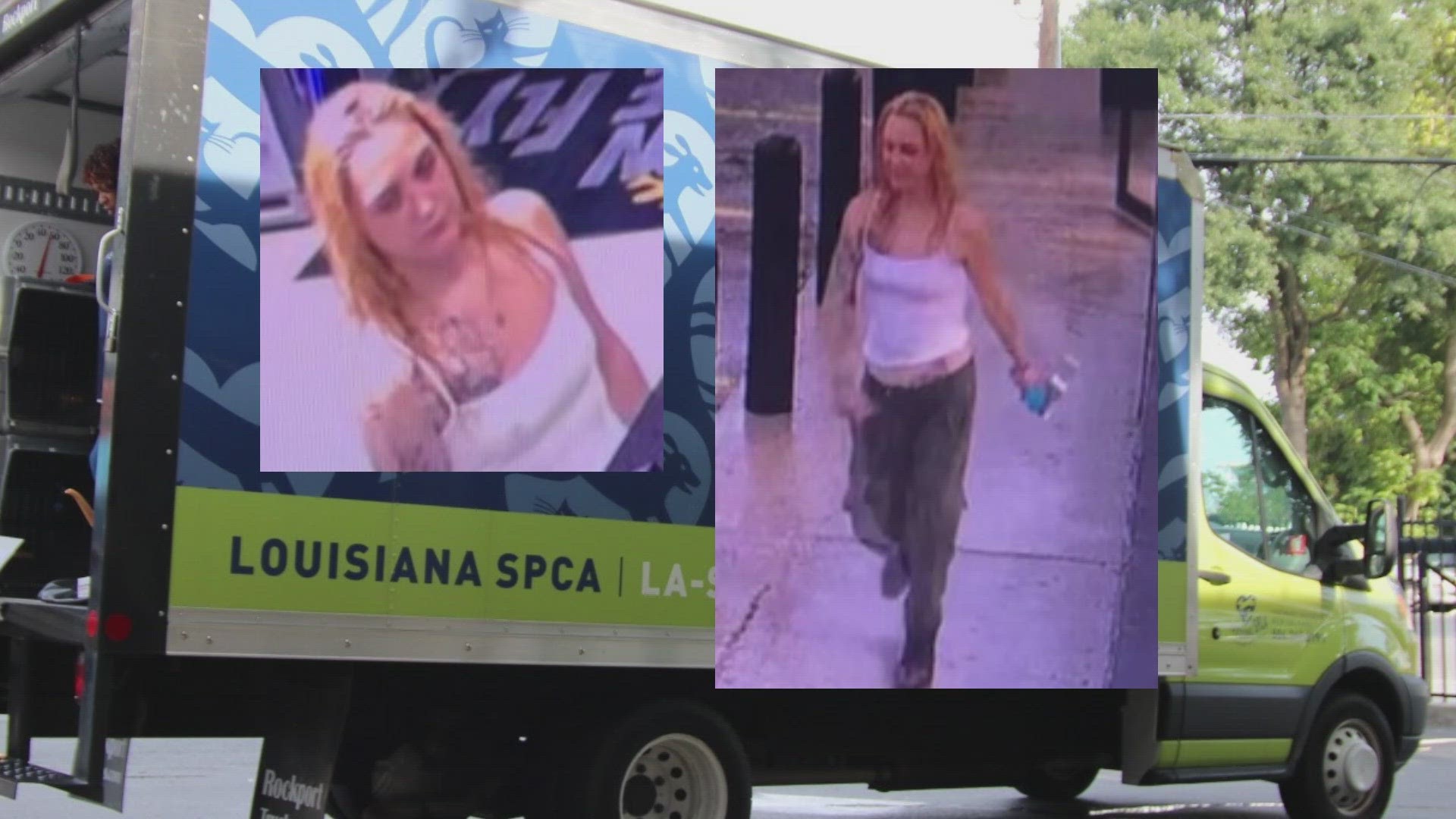 The Louisiana SPCA said the truck was found abandoned and they are still searching for the woman who stole the truck.