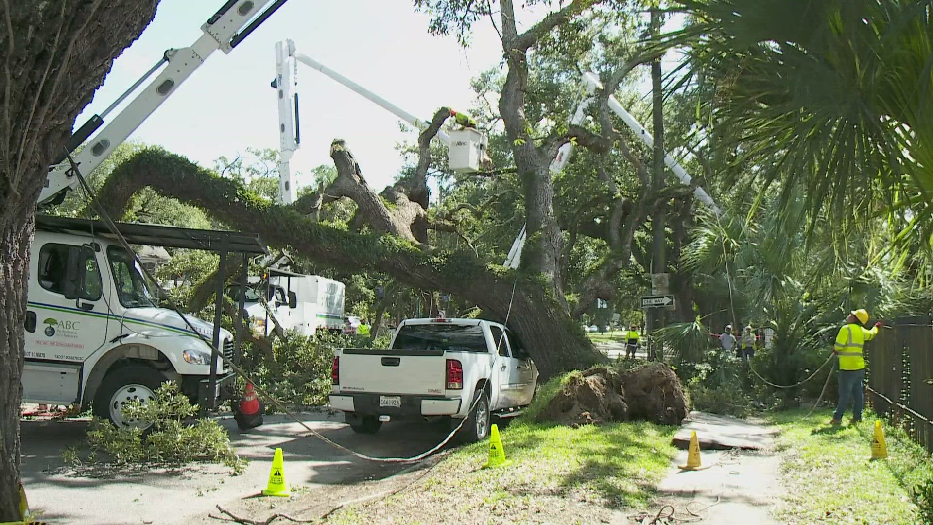 New Orleans EMS transported Wendy Joseph to a hospital after the oak fell on her car. Her husband told Eyewitness News that she's shaken up but doing O.K.