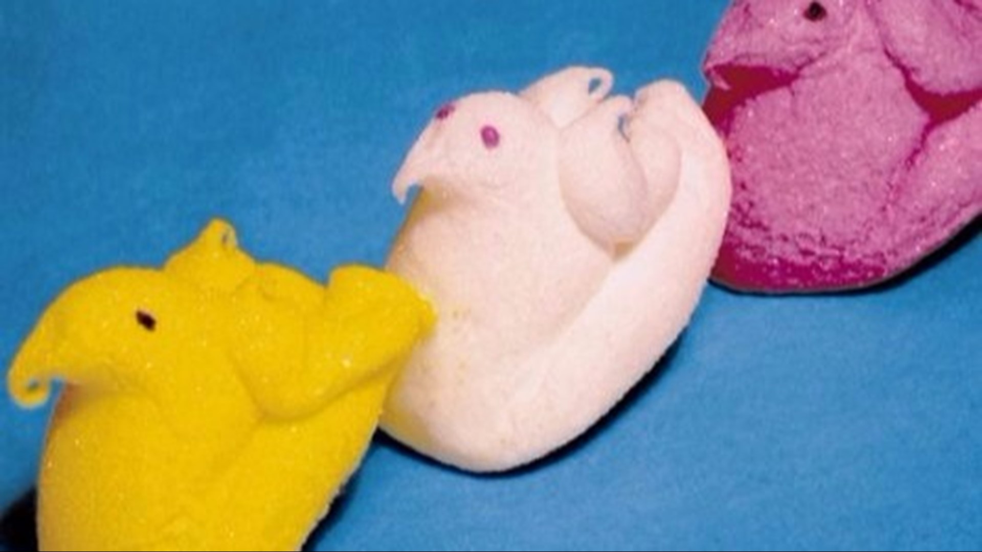 6 things you didn't know about marshmallow Peeps