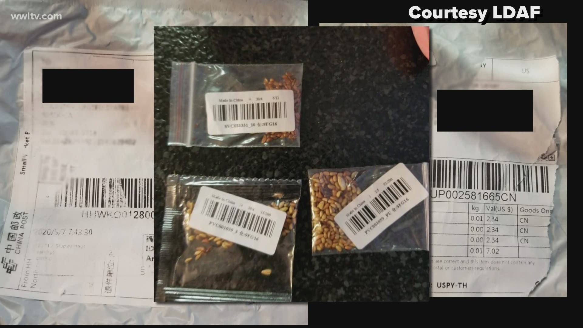 Mystery seeds from China appear in some Louisiana residents' mail