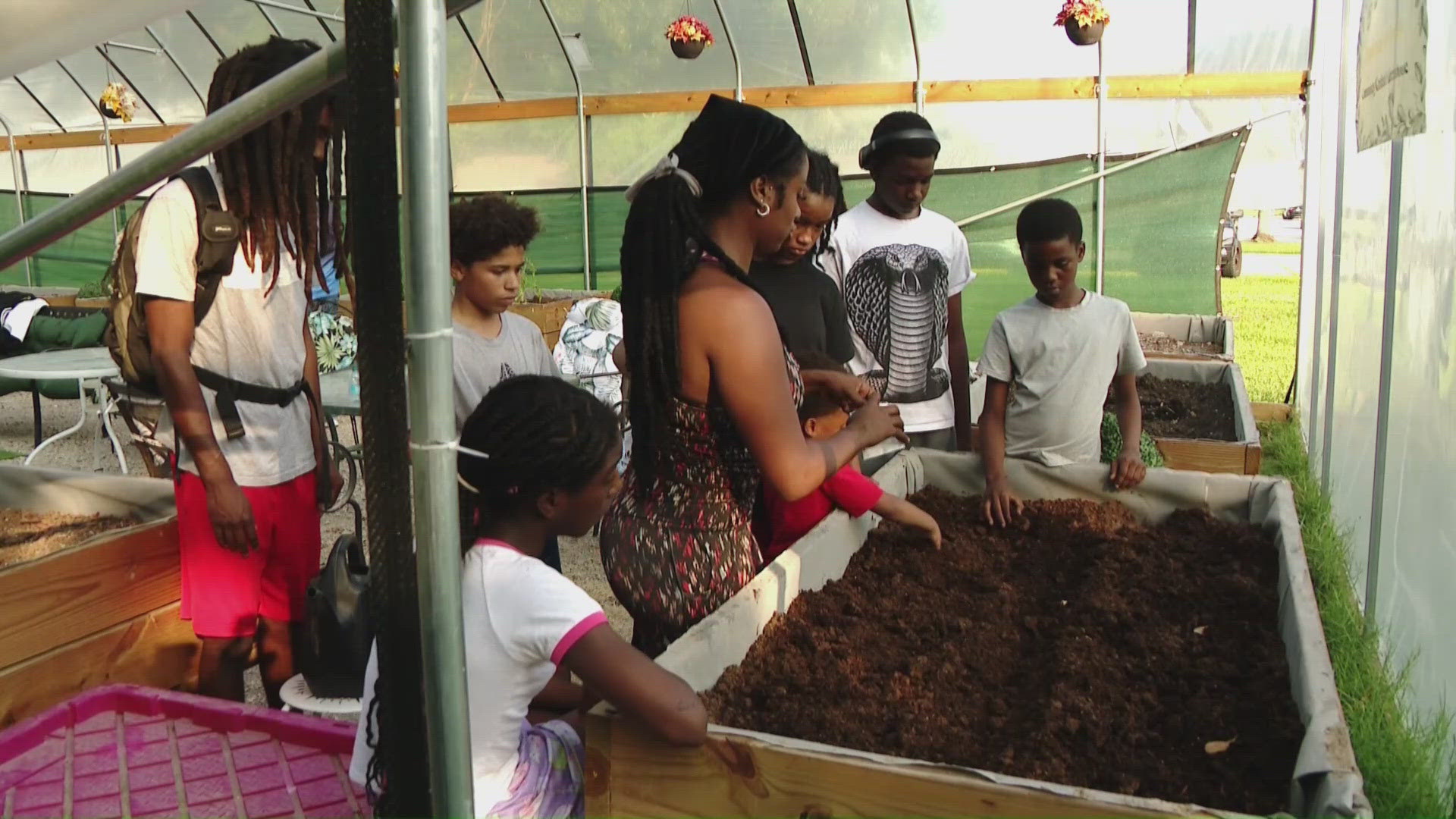 wwltv.com - Megan Divers - Blue Cross Blue Shield $2.6B settlement to begin payments next month: What to know
