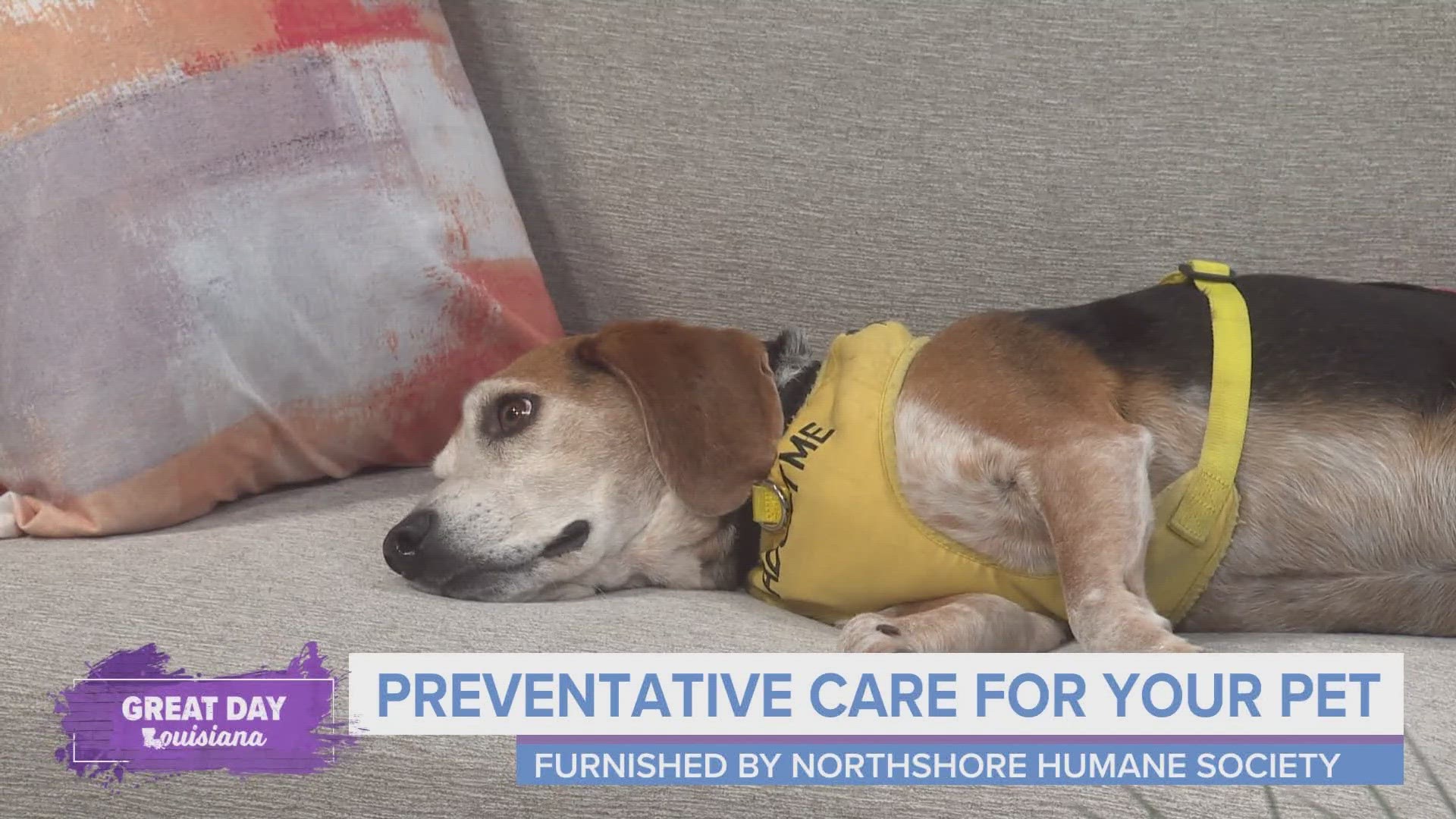 The Northshore Humane Society talks about preventative health care for your pet.