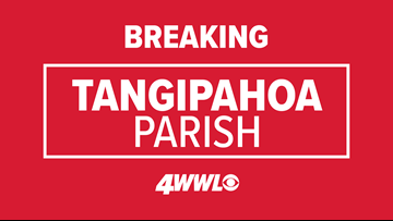 Truck driver killed in collision with Amtrak train