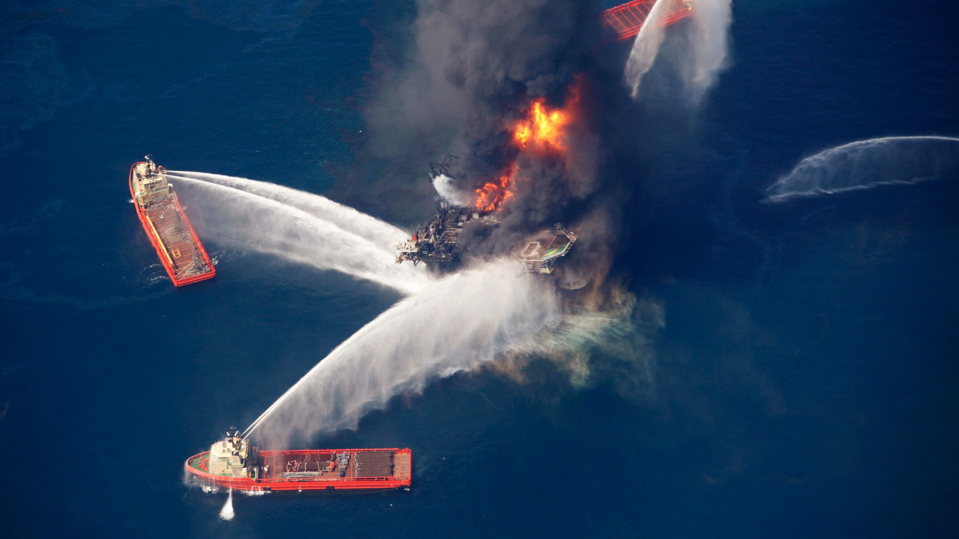 It has been nearly nine years since the BP Deepwater Horizon Disaster killed 11 people,  and also sickened and killed countless marine animals