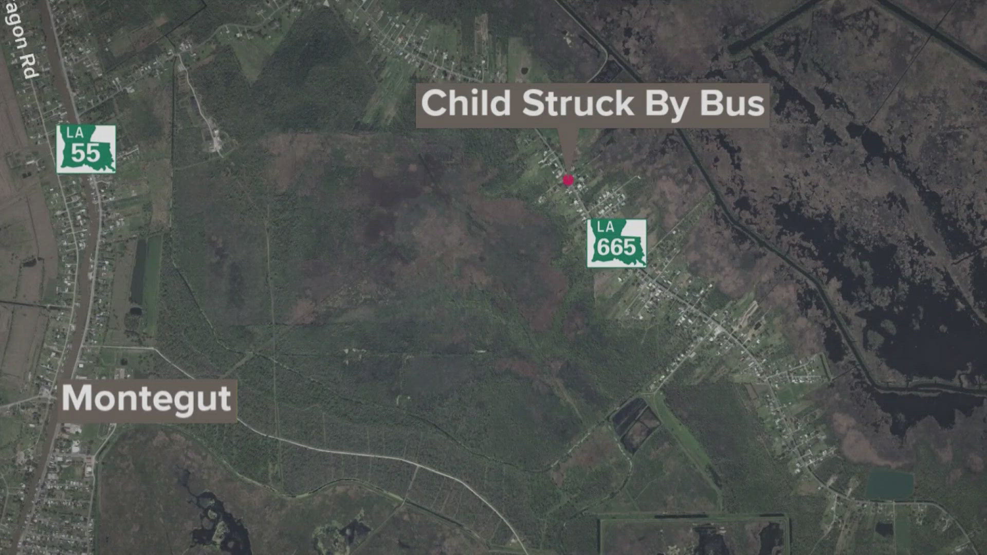 Louisiana State Police said Jeremiah Falgout was struck after the bus pulled away following drop-off.