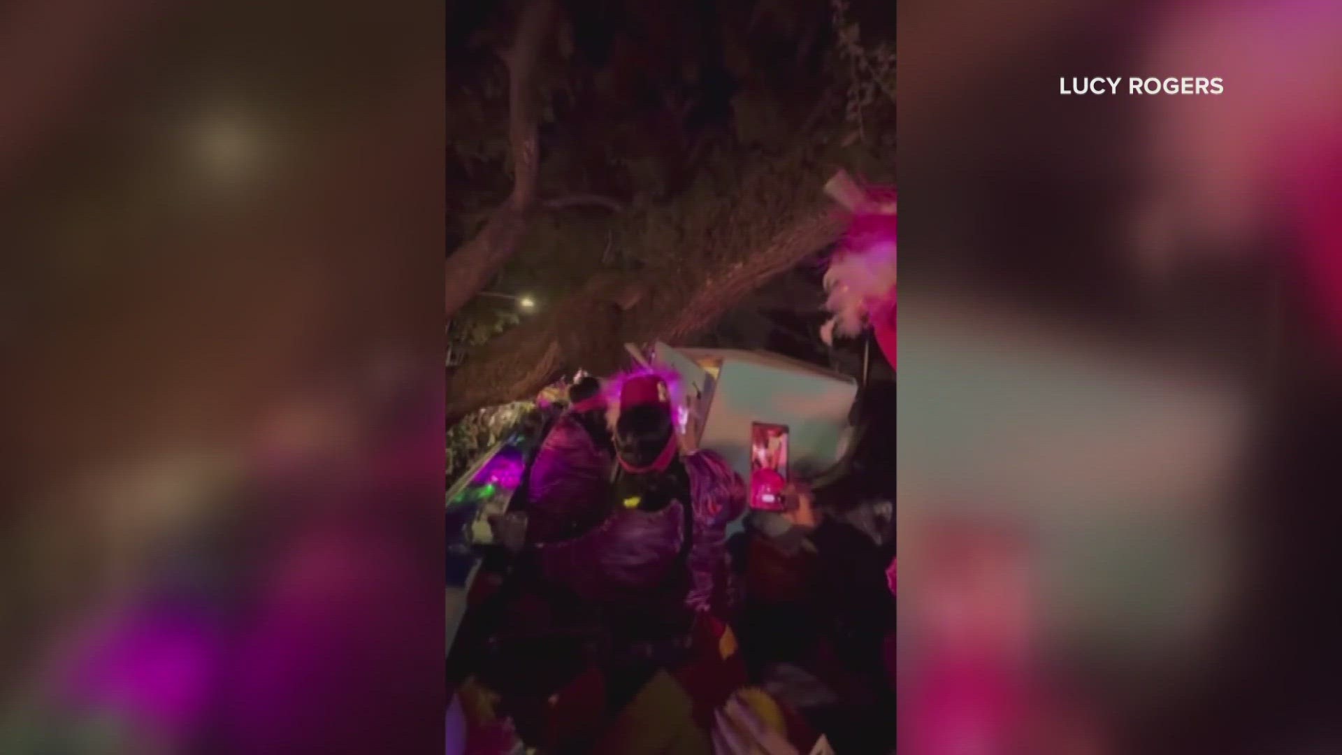 A video obtained by WWL Louisiana shows the moment a Krewe of Cleopatra float collides with an Oak tree.