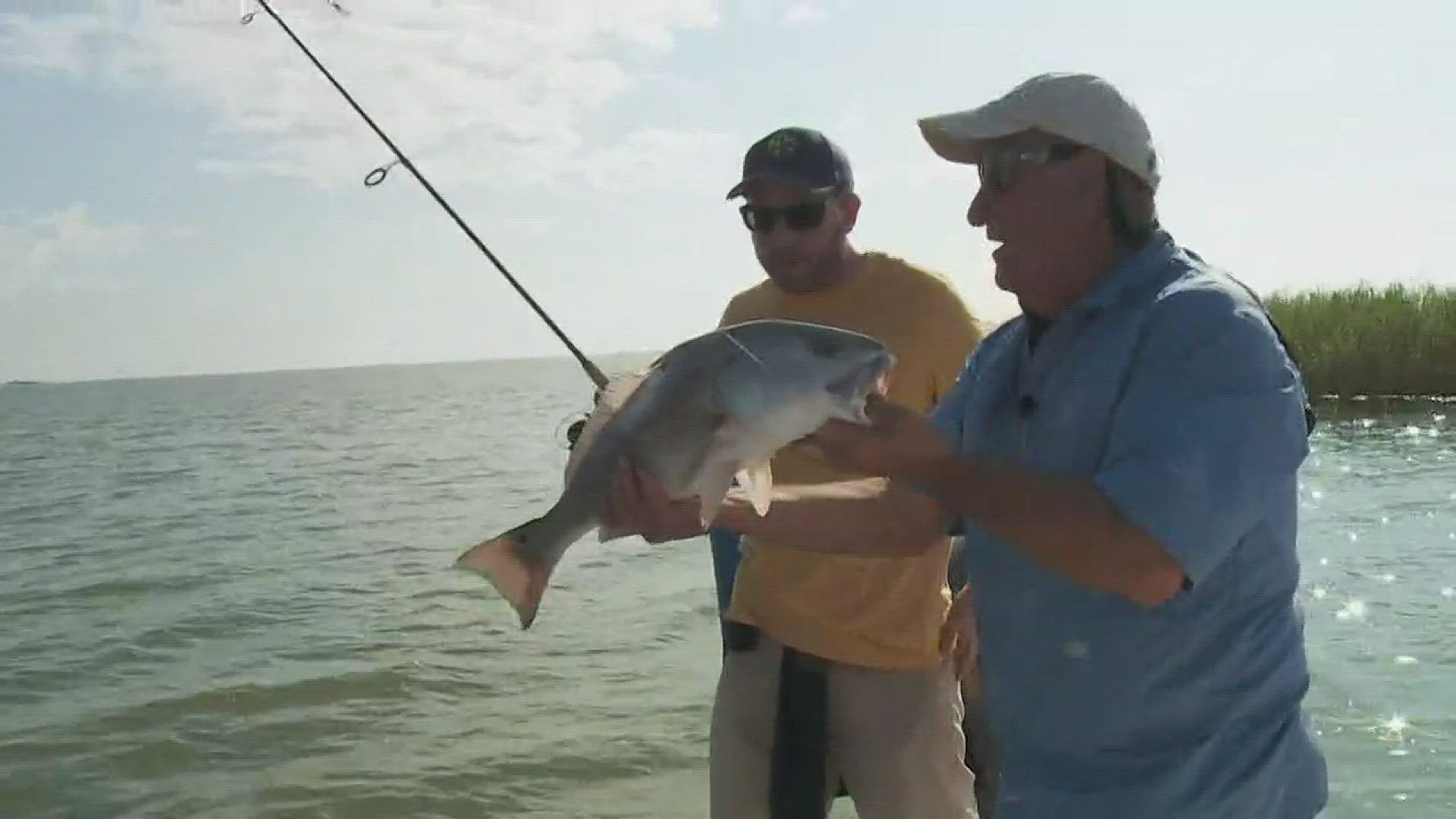 September is a transition month for speckled trout, but Don Dubuc has some tips for catching redfish in Plaquemines Parish. 9/14/17.