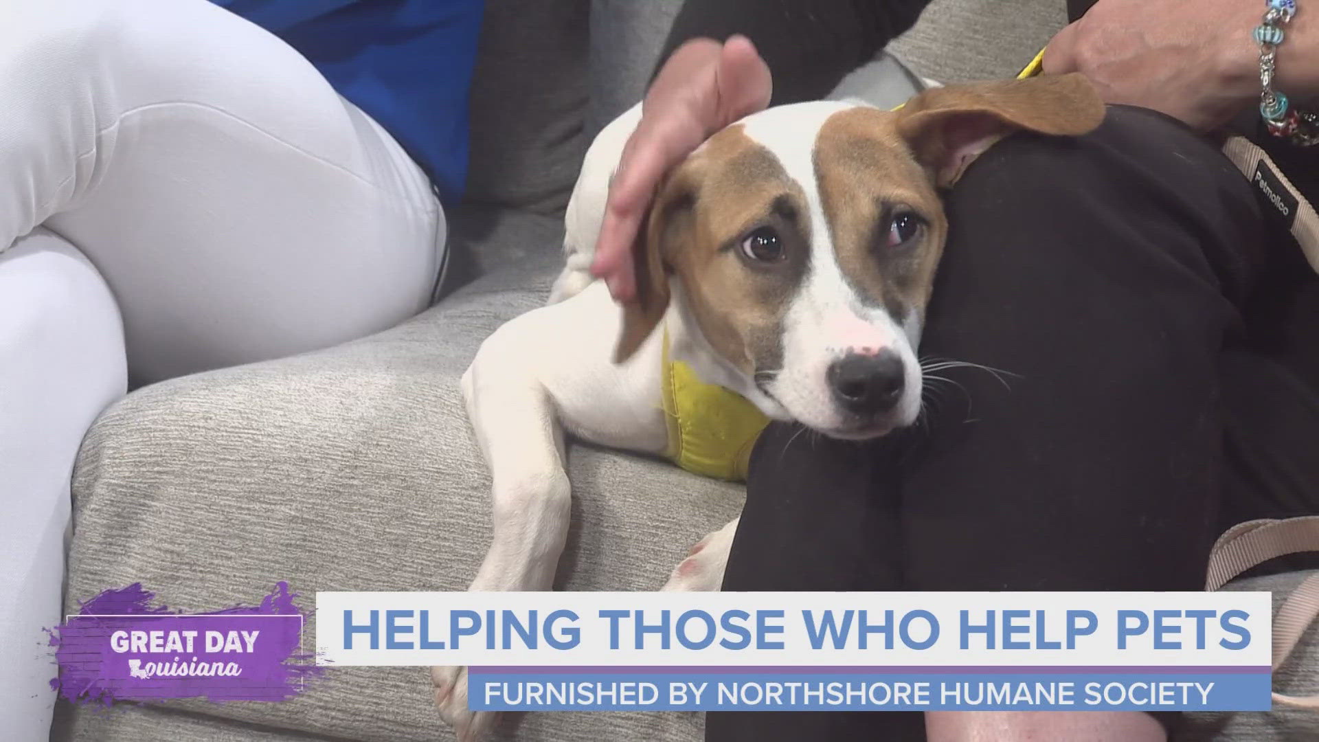 We learn more about the special fundraising matching for Northshore Humane Society coming up on Give NOLA Day.