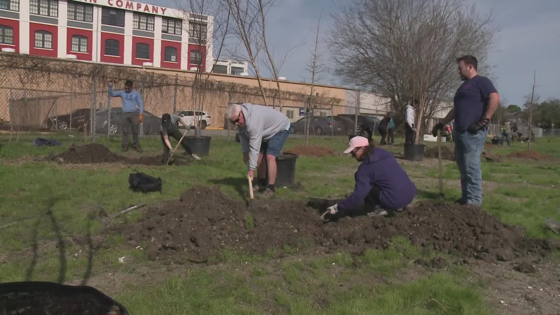 Sustaining Our Urban Landscape hopes to improve quality of life by planting 7,000 trees starting in 2026.