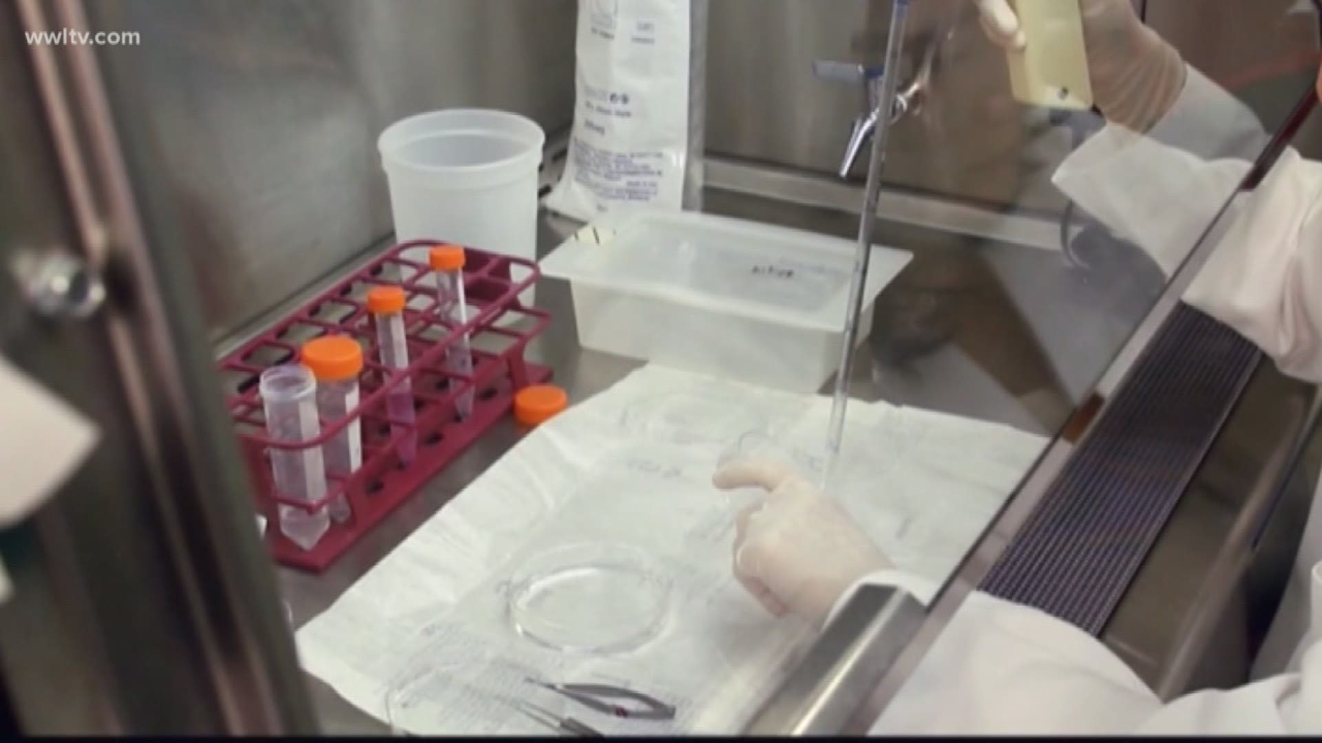Louisiana unveils Hepatitis C program designed like Netflix