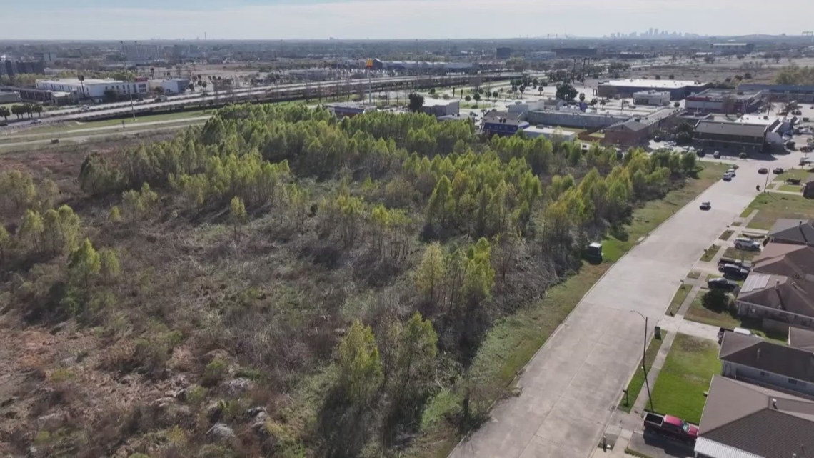 City leaders respond to concerns over proposed data center in New Orleans East