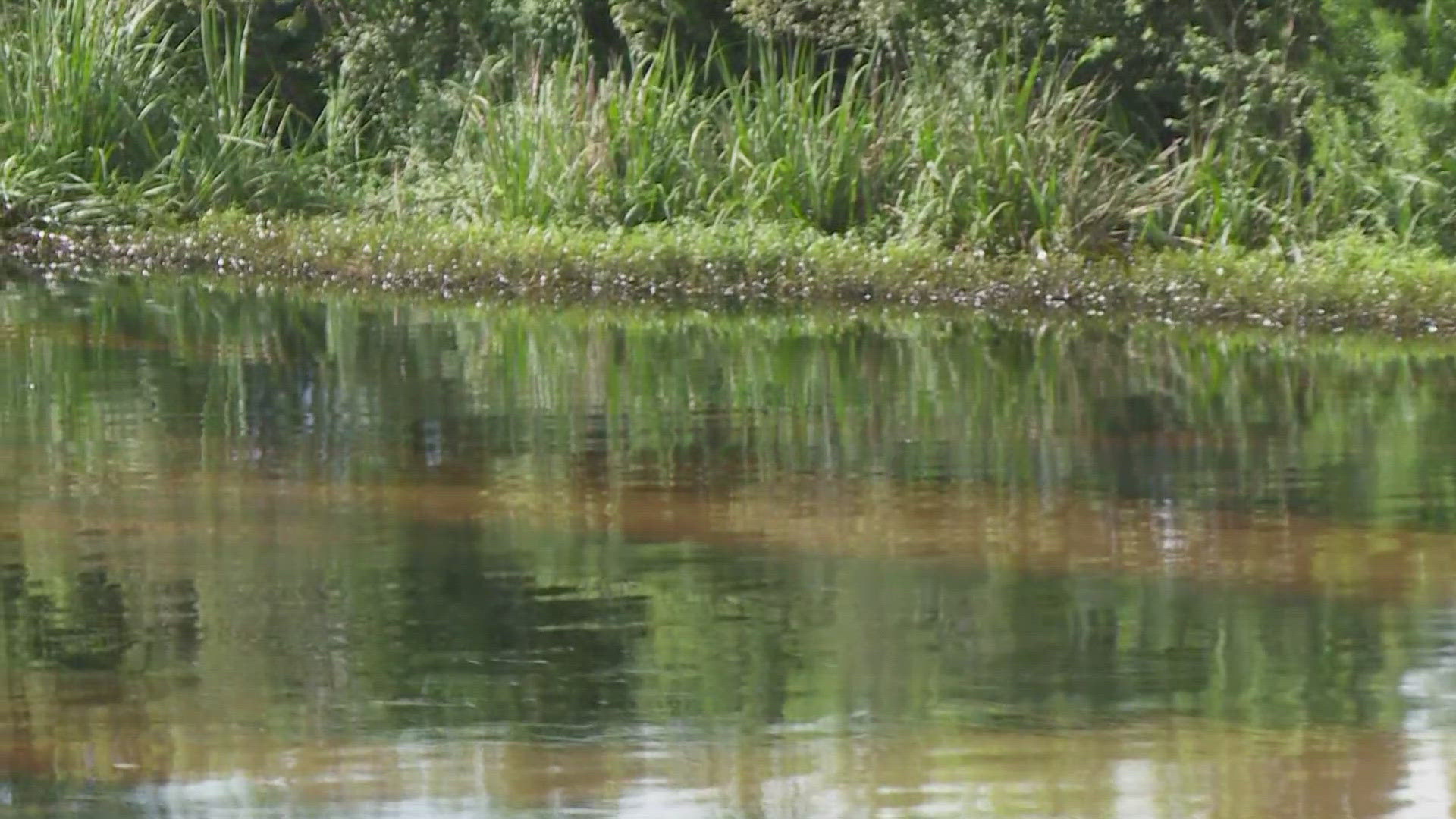 Cleanup is underway for the worst oil spill Bayou Lafourche has ever seen. It happened Saturday morning from a nearby refinery.