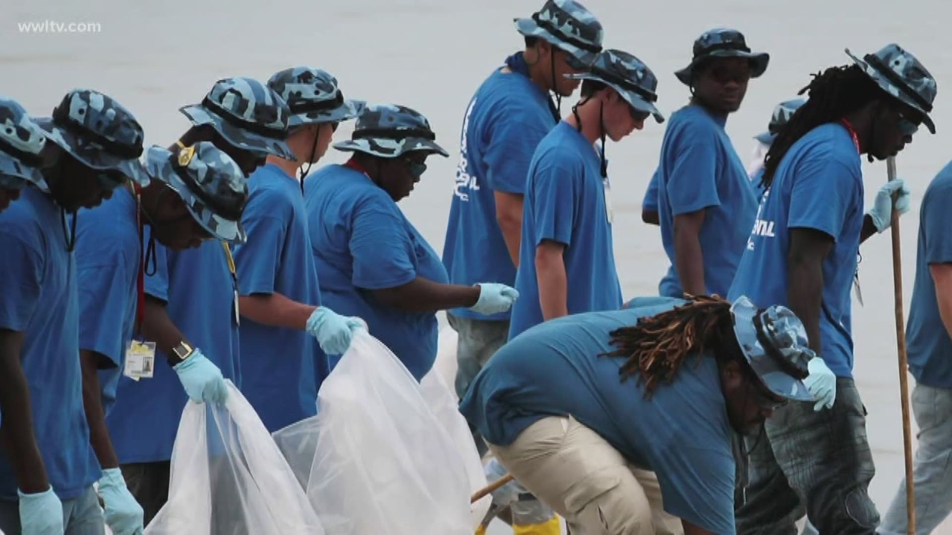 bp oil spill cleanup workers dying
