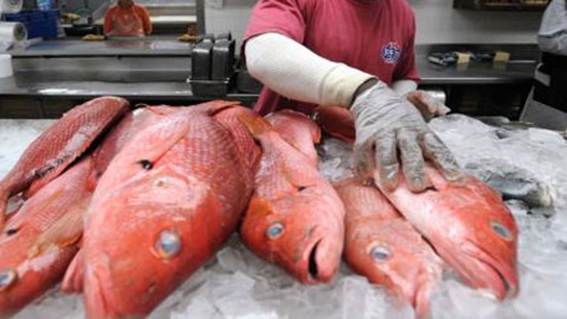 Recreational red snapper season to end July 8 in Louisiana