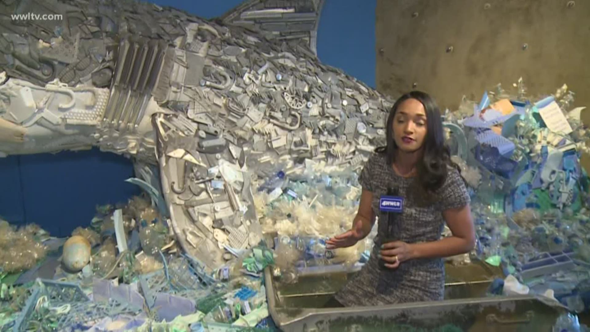 In honor of Earth Day, Meghan Kee brings us to the Audubon Aquarium to see the Washed Ashore Exhibit.