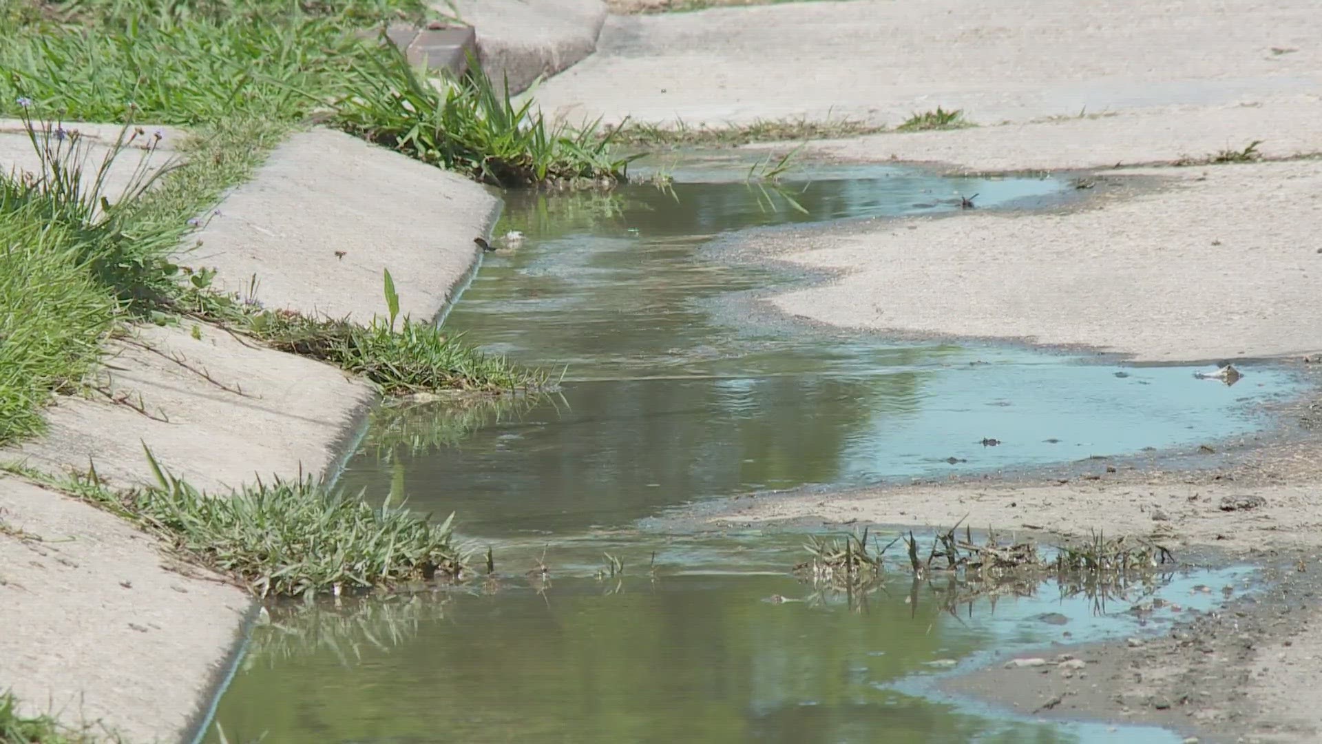 Several neighbors say they have reported the water leak multiple times. The Sewerage and Water Board says it has a record of just three recent calls.