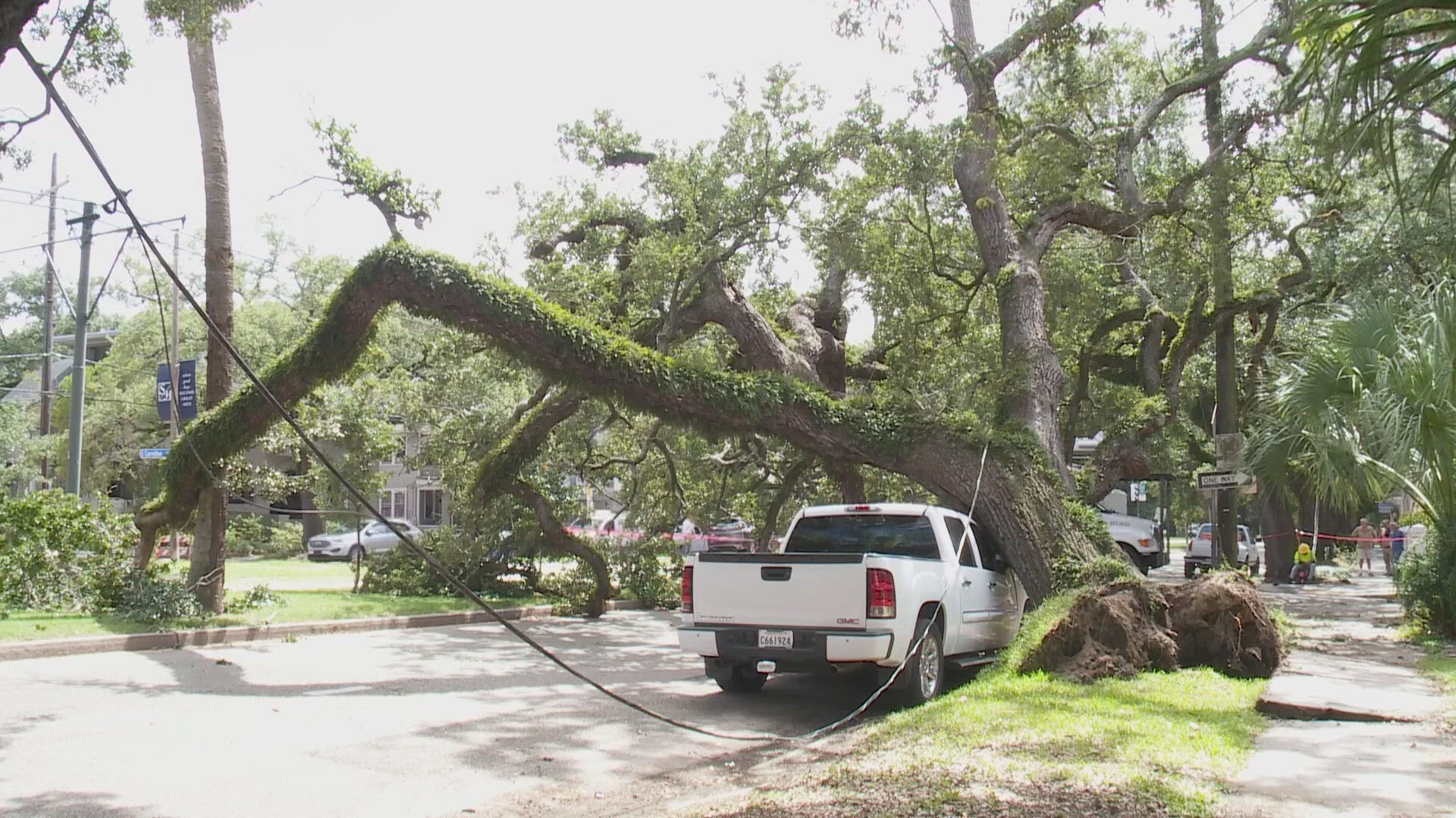 One of the trees, a massive one on Carrollton, came down earlier this week, shutting off traffic for hours and cutting some power in the neighborhood.