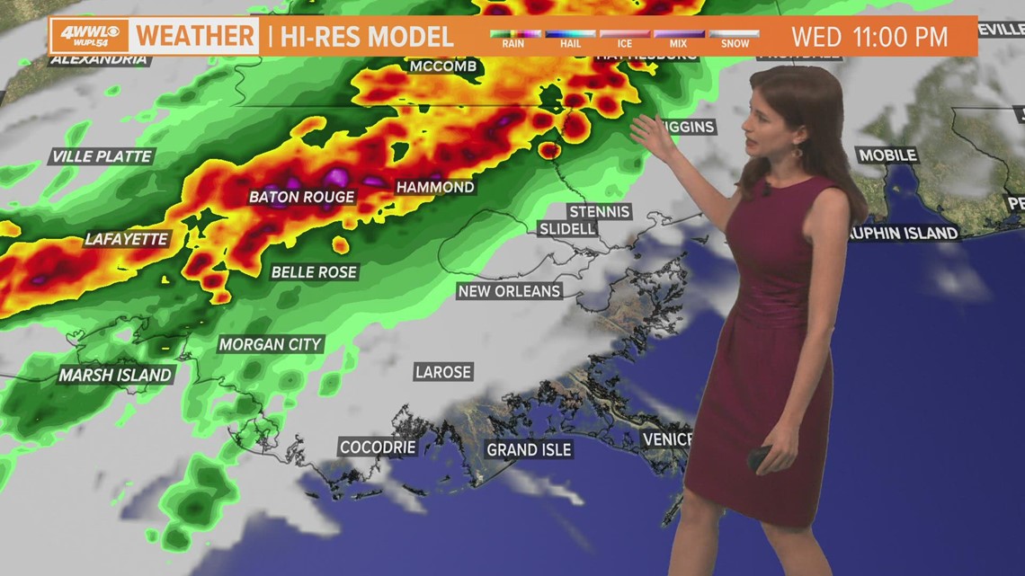 Dog rescued after legs sawed off, being shot on Northshore