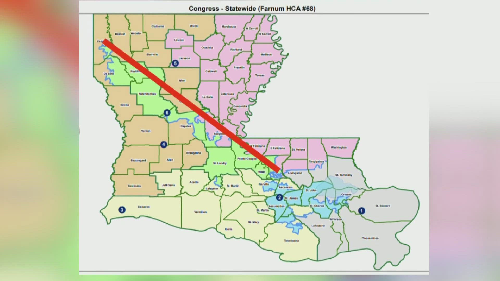 Loyola Law Professor Dane Ciolino said Louisiana is caught in a collision at the intersection of the Voting Rights Act of 1965 and the 14th Amendment.