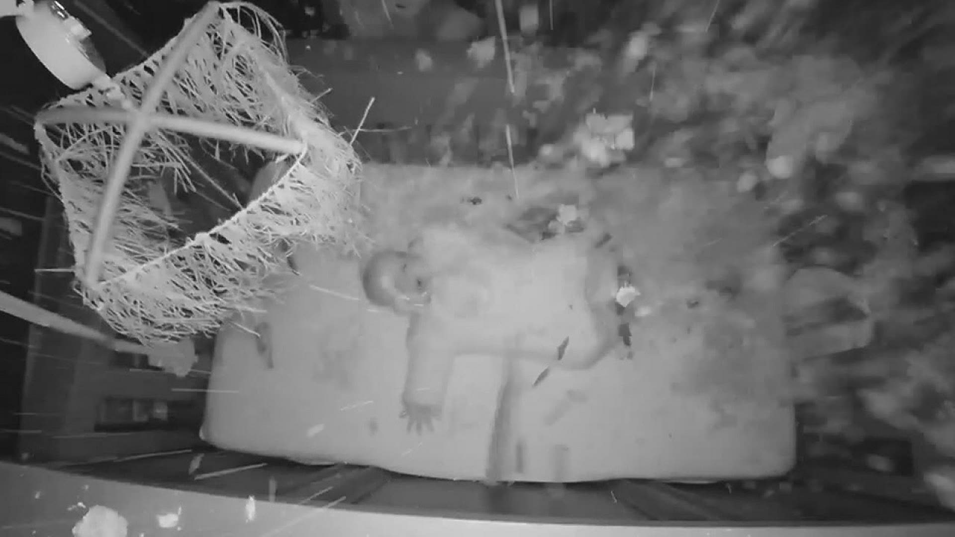 A baby monitor captured the moment a tree crashed into a home, sending debris on a sleeping baby.
